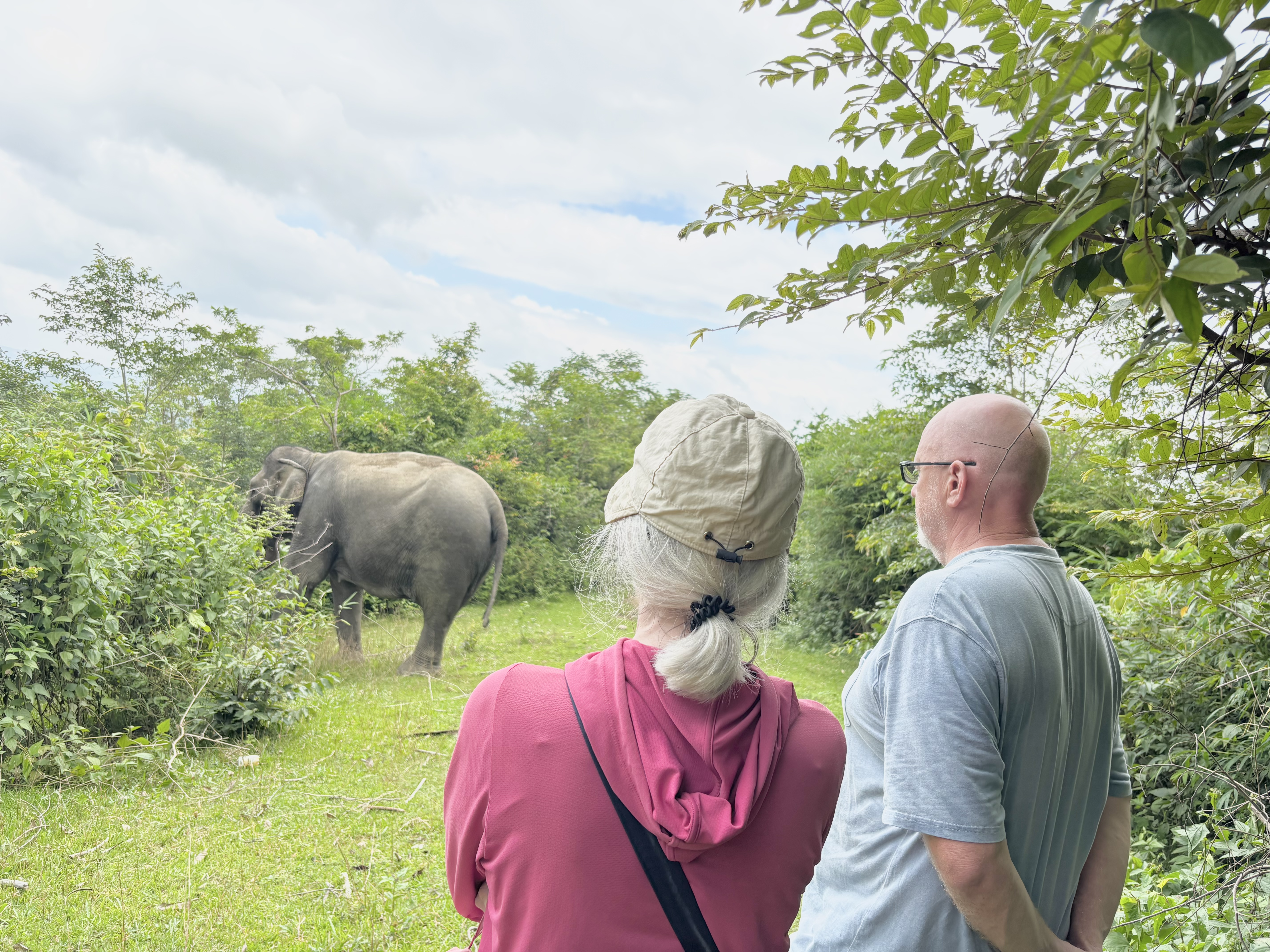 TOUR THEO DẤU CHÂN VOI 1/2 NGÀY