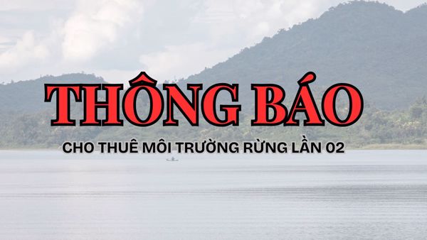 THÔNG BÁO CÔNG KHAI (LẦN 2) VỀ VIỆC CHO THUÊ MÔI TRƯỜNG RỪNG